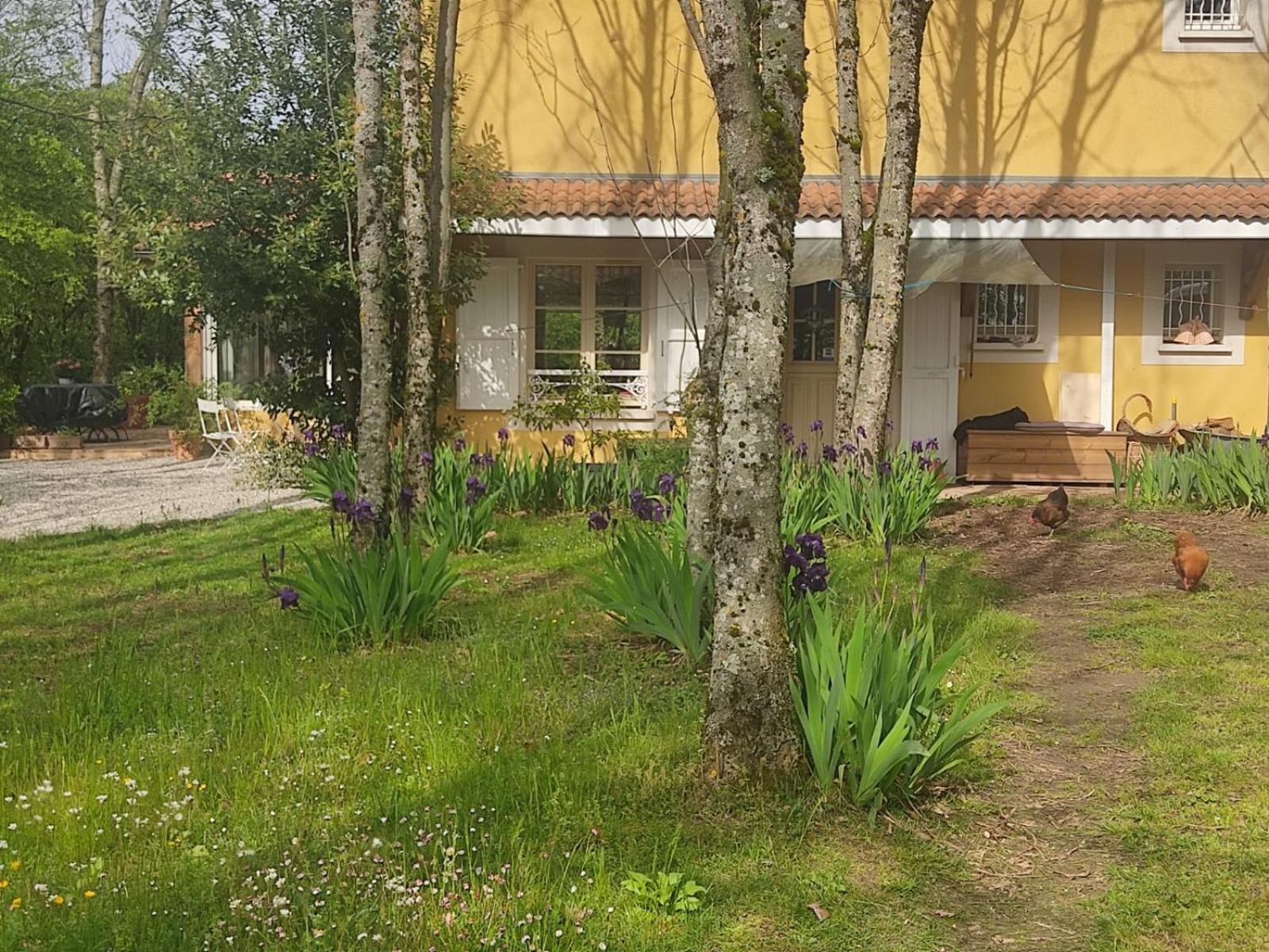 La Frenaie Bed and Breakfast Saint-Cyr-sur-le-Rhone Exteriör bild