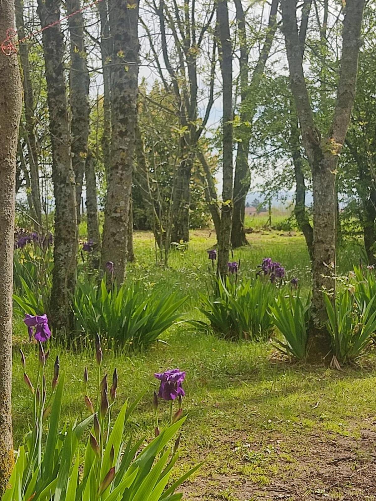 La Frenaie Bed and Breakfast Saint-Cyr-sur-le-Rhone Exteriör bild
